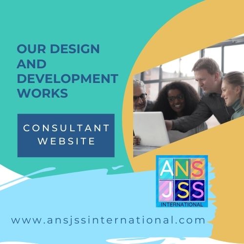 Consultant Website
